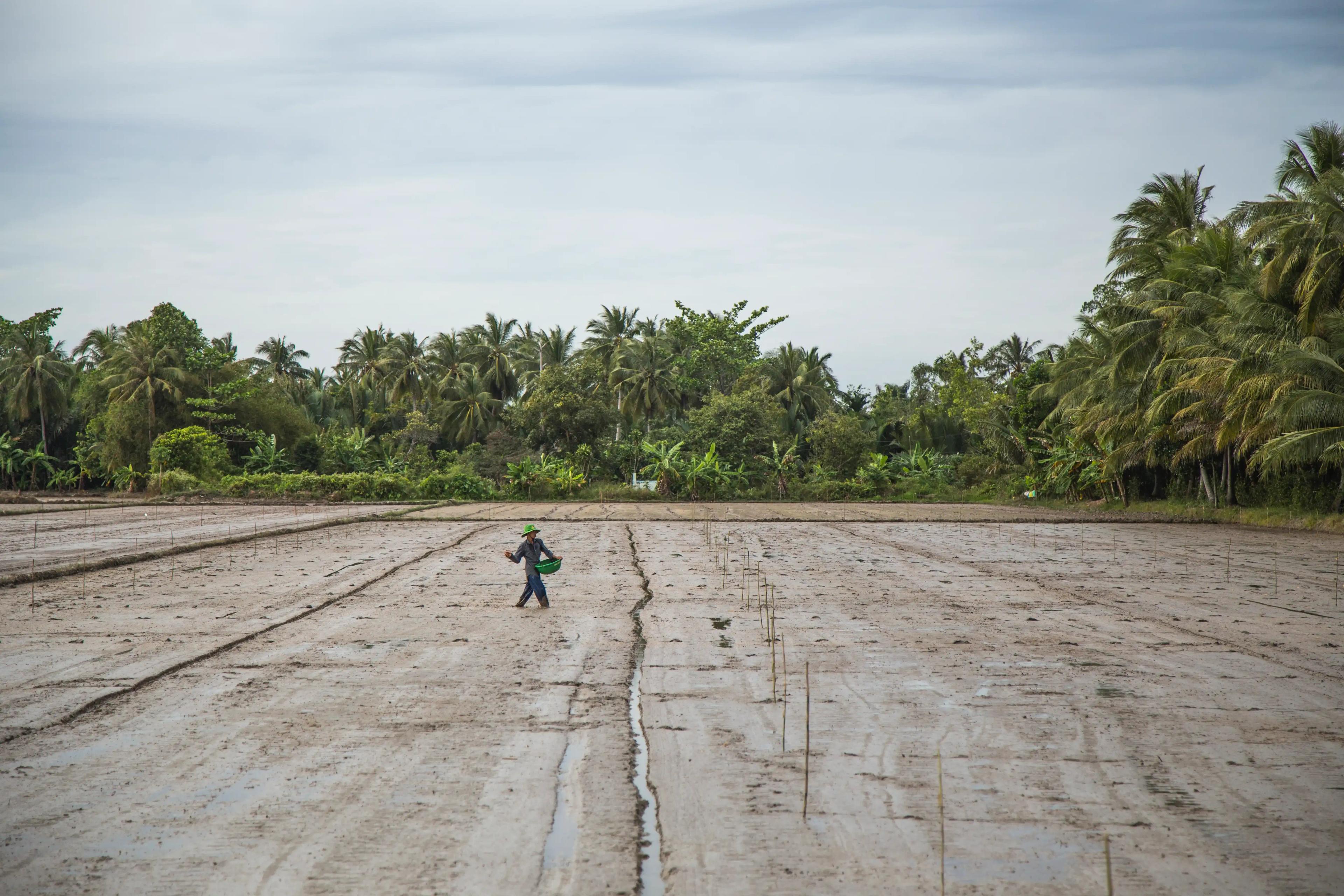 Discover the Mekong Delta by Bike: Ultimate Self-Guided Tour