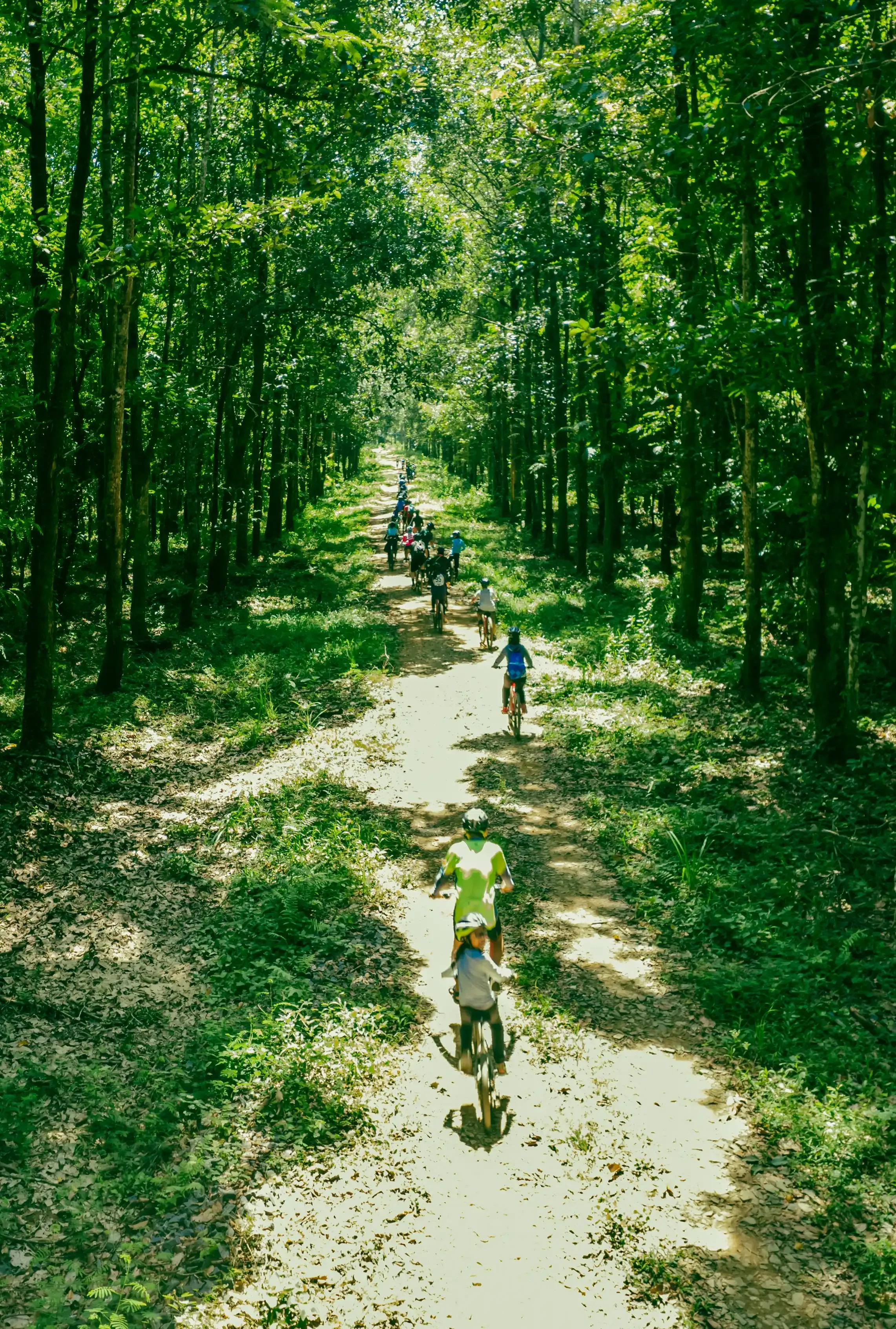 batch_Duc-Hieu-Media_49 (1).webp