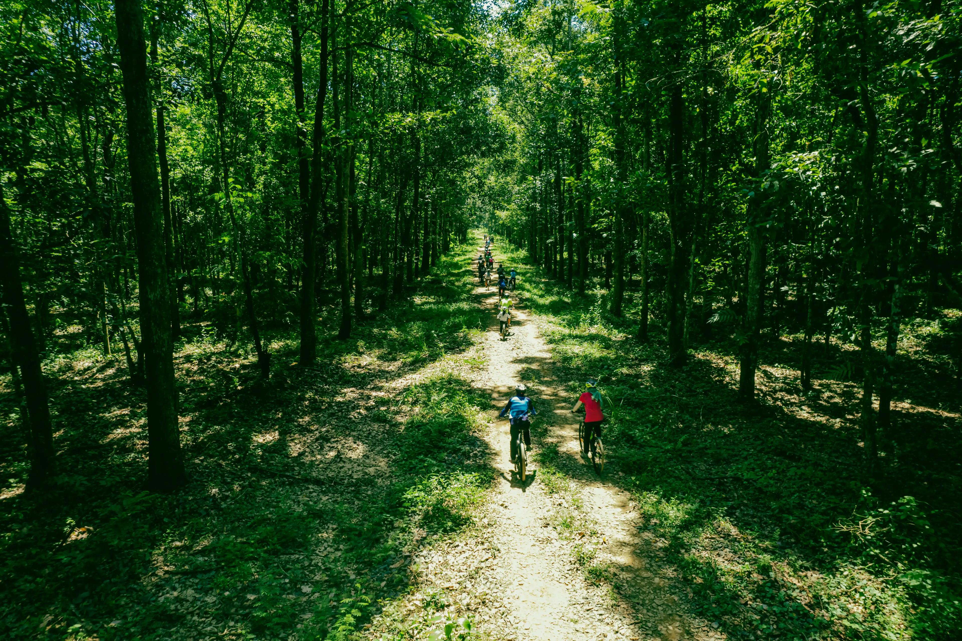Nam Cat Tien National Park Cycling Tour from Ho Chi Minh City