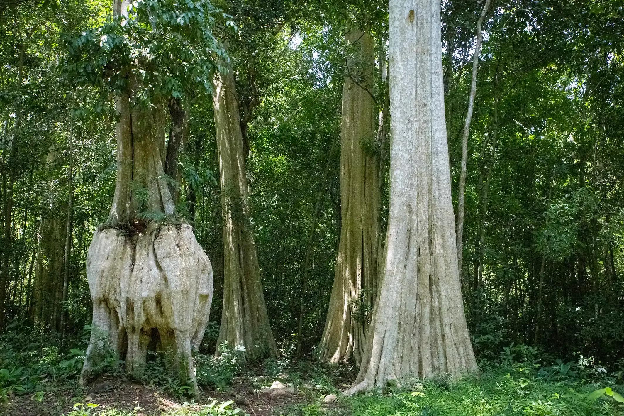 Tour Xe Đạp Xuyên VQG Cát Tiên