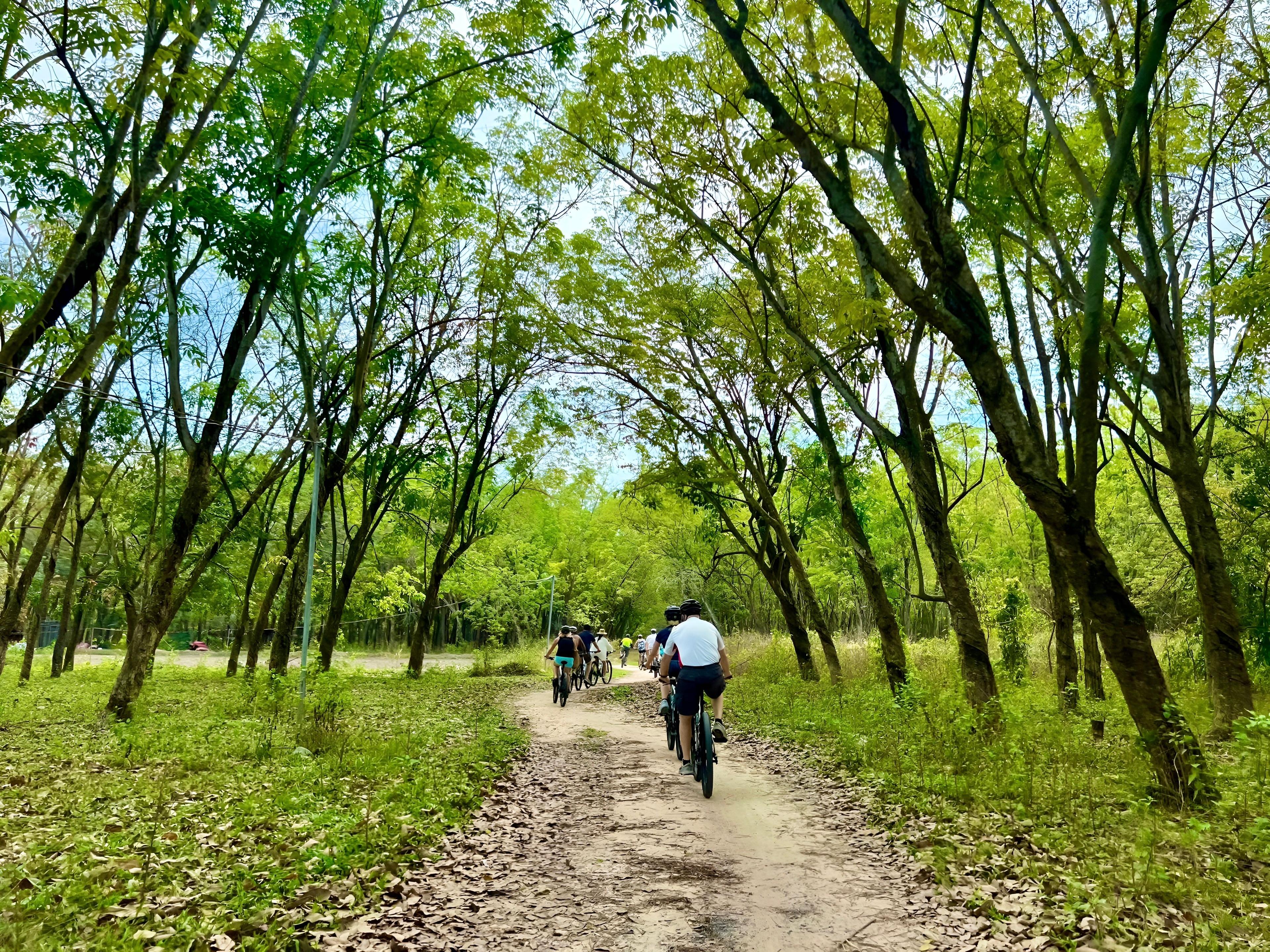 Cu Chi Tunnels Bike Tour from Ho Chi Minh City – History & Countryside