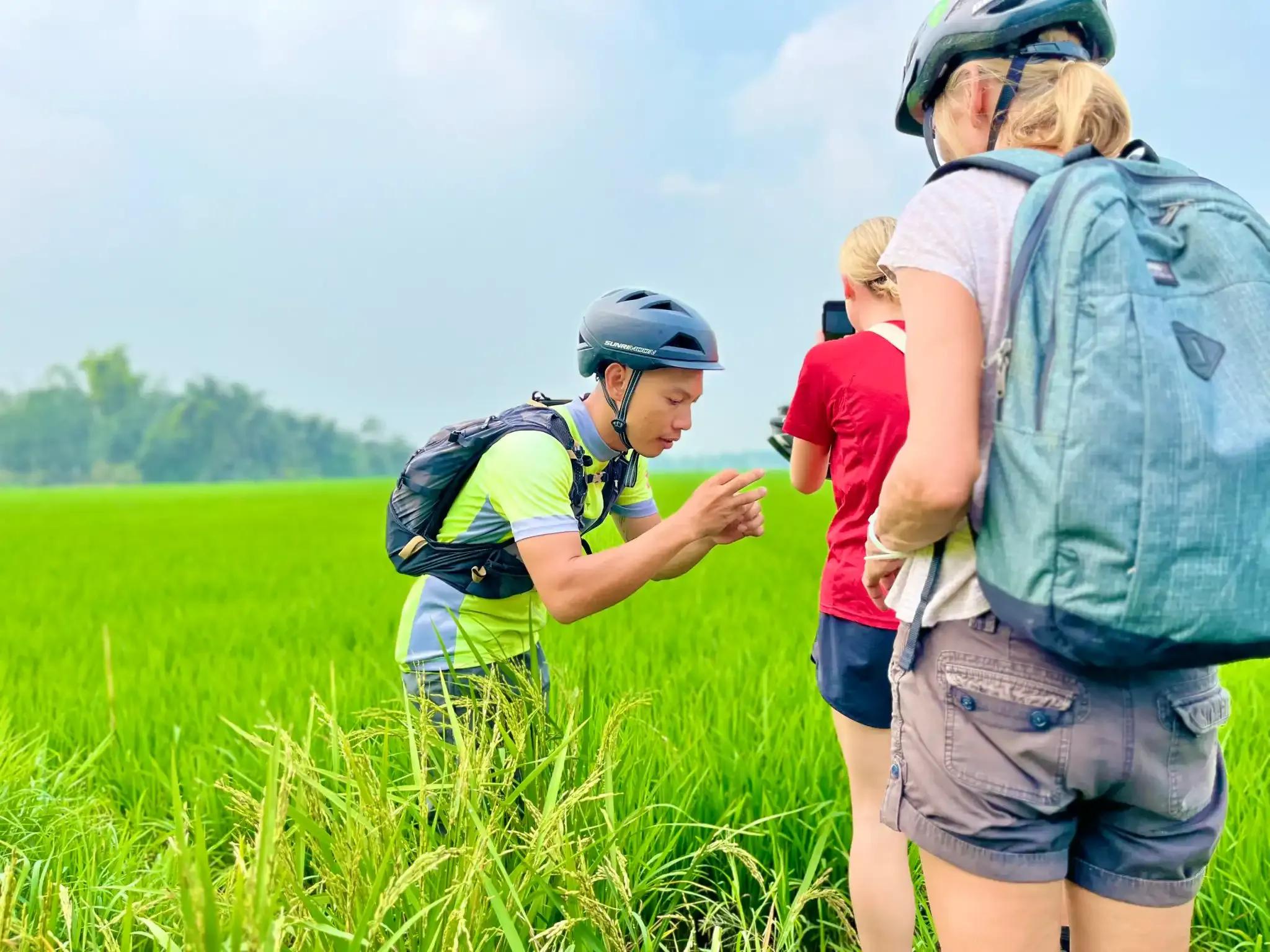 Mekong Delta Day Tour by Bike – Authentic Rural Vietnam