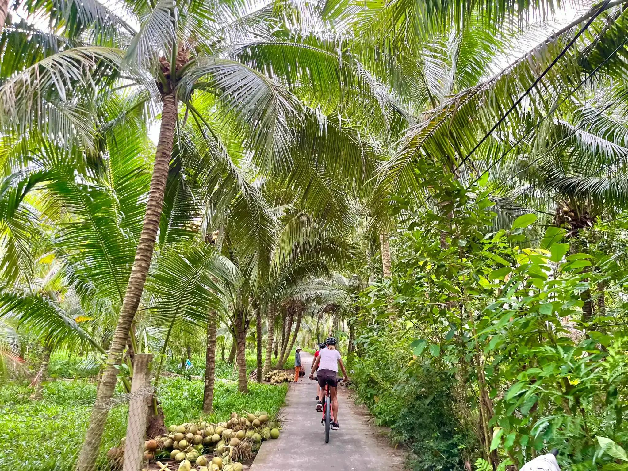 Mekong Delta Day Tour by Bike – Authentic Rural Vietnam