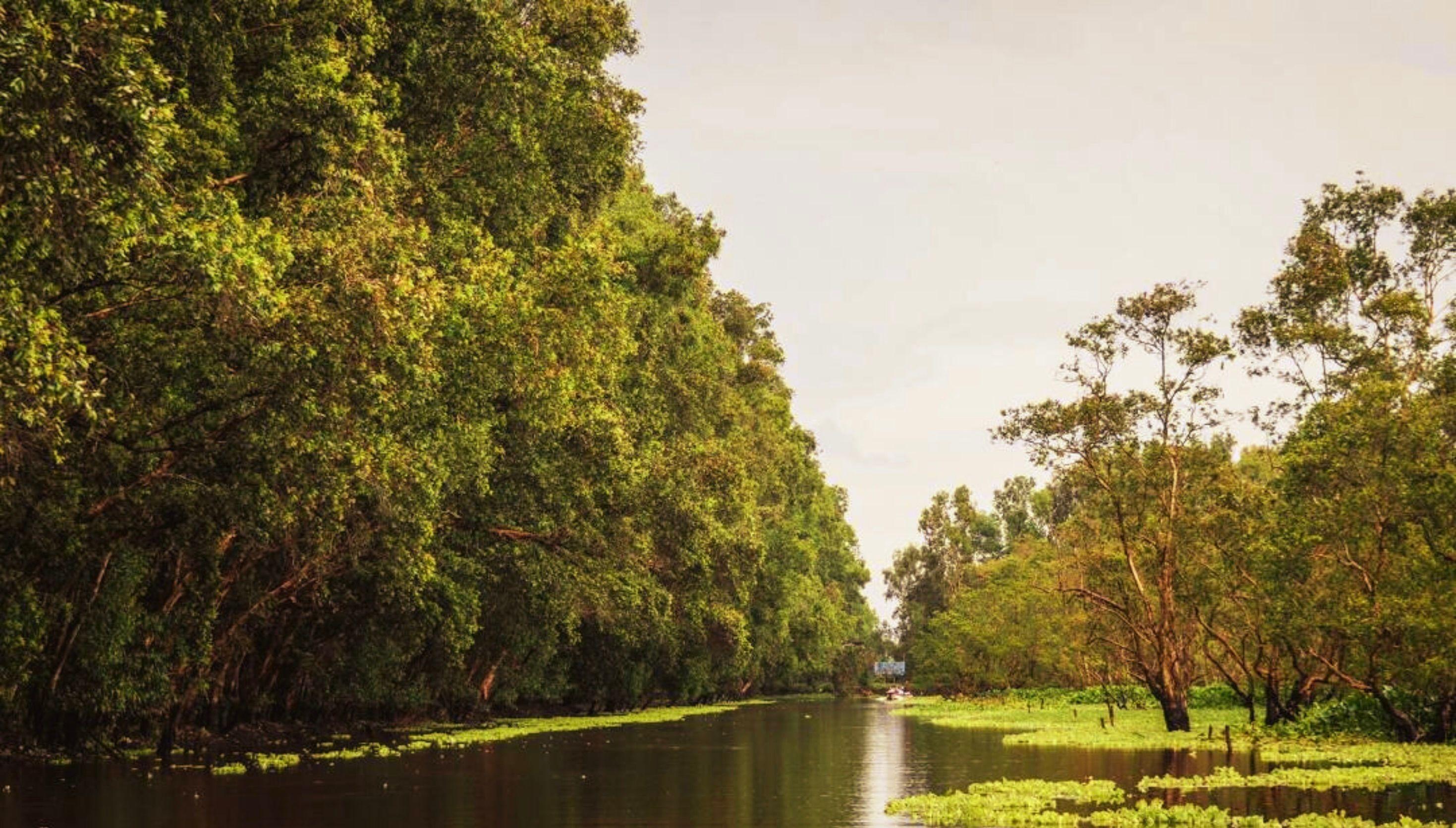 Tour Xe Đạp Miền Tây 3N3Đ – Ngược Dòng Cửu Long Giang Xanh Mát