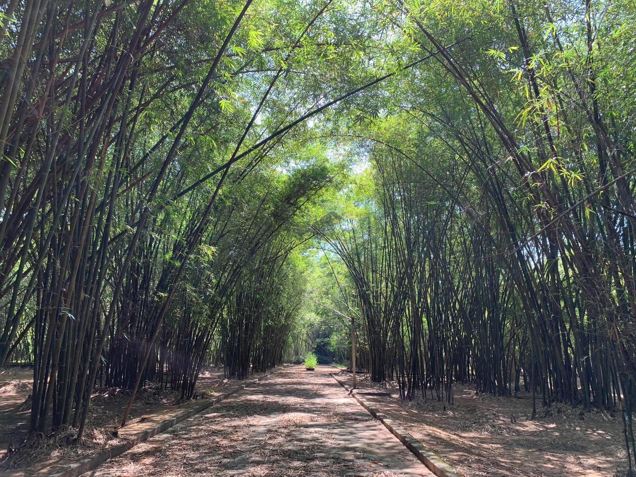 Ho Chi Minh City Countryside Bike Tour – Explore Traditional Craft Villages