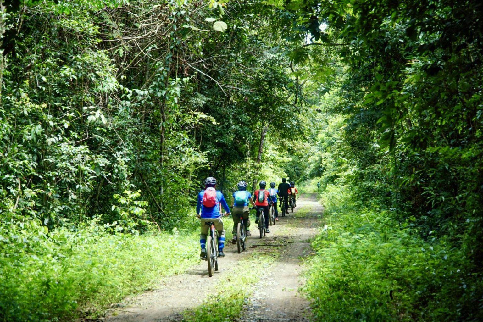Cycling Through Nam Cat Tien National Park: What You Need to Know
