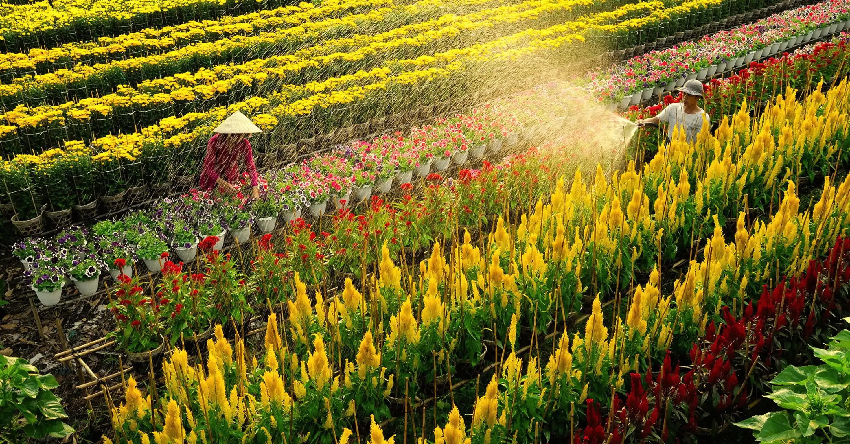 Tour Xe Đạp Miền Tây 3N3Đ – Ngược Dòng Cửu Long Giang Xanh Mát