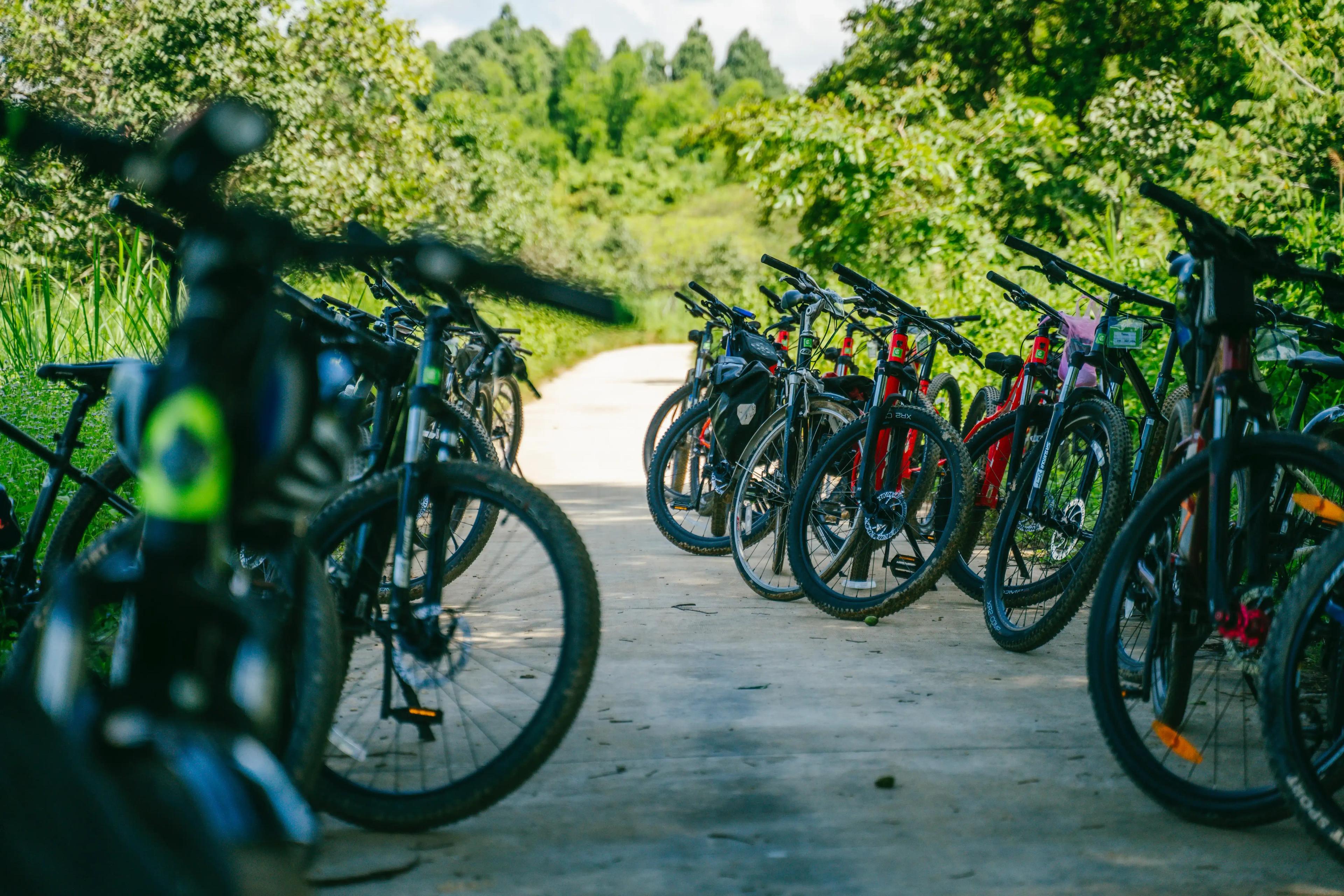 Top 7 Địa Điểm Cho Thuê Xe Đạp TPHCM Uy Tín - Kèm Bảng Giá 2025