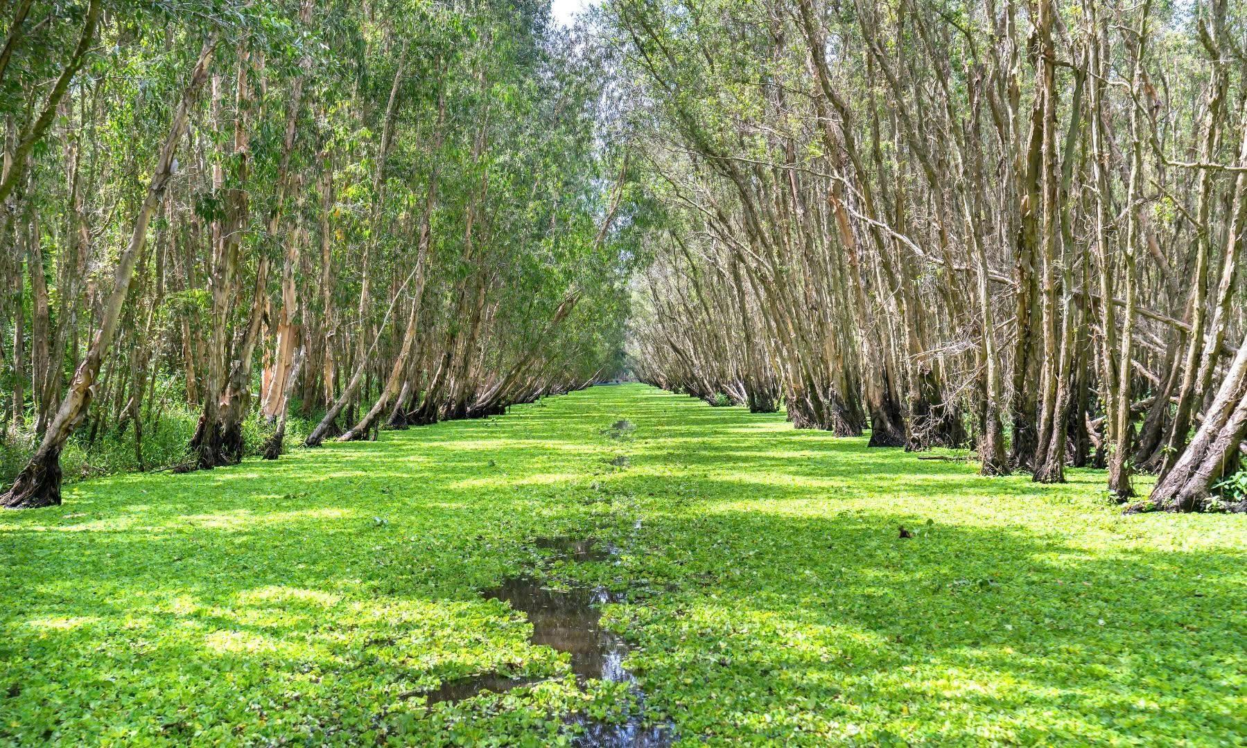 Tour Xe Đạp Khám Phá Tri Tôn